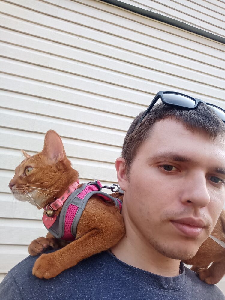 ���������� ������, ���� ������� �����, 34 ����, ������������ ��� ����� � ���������, c�������� ���������