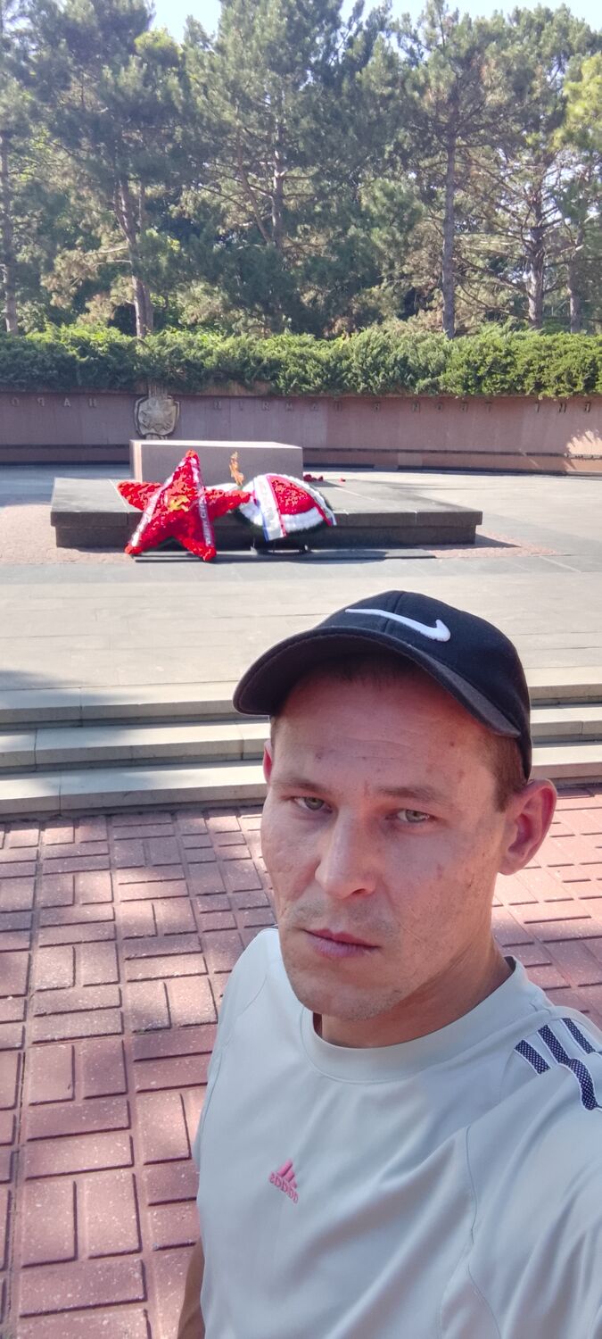  44255281  , 34 ,    