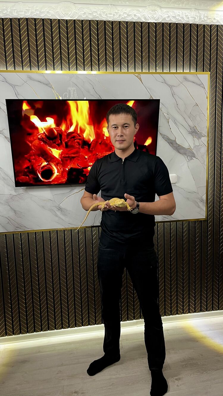  50075881  DauRen, 30 ,    