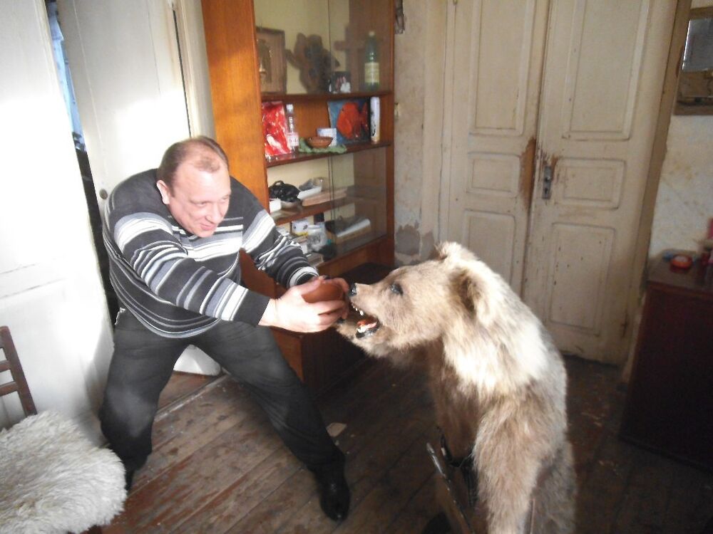 ���� 6778921 ������� David, 47 ���, ���� ���������� � �������