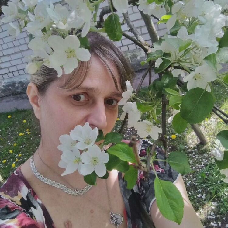 ���� 42987451 ������� ������, 40 ���, ���� ���������� � ������