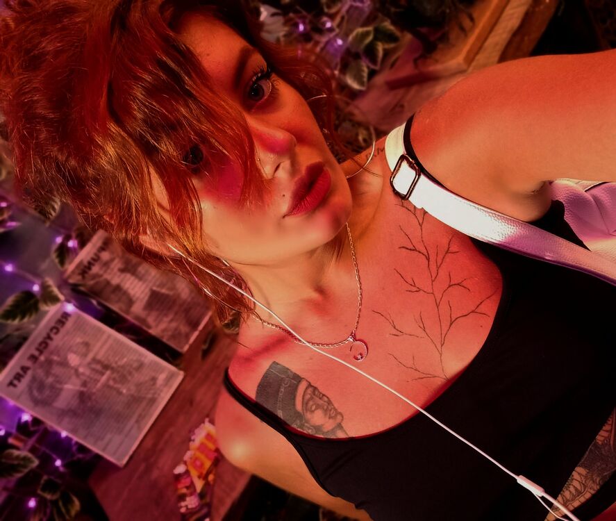  28435431  , 28 ,    -