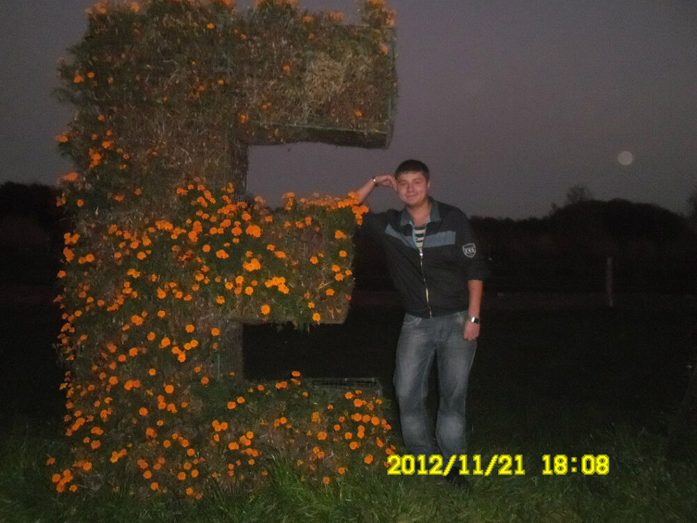  9583861  , 31 ,    