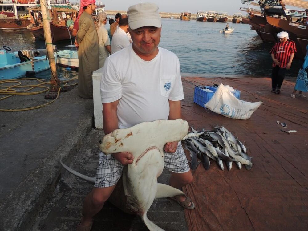 ���������� ����, ���� ������� �������, 50 ���, ������������ ��� ������, ����� � ���������, c�������� ���������, ���������