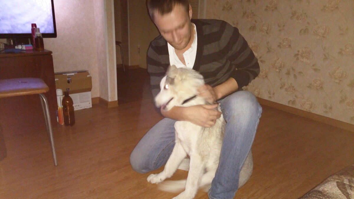 ���� 11052901 ������� ���������, 36 ���, ���� ���������� � ���