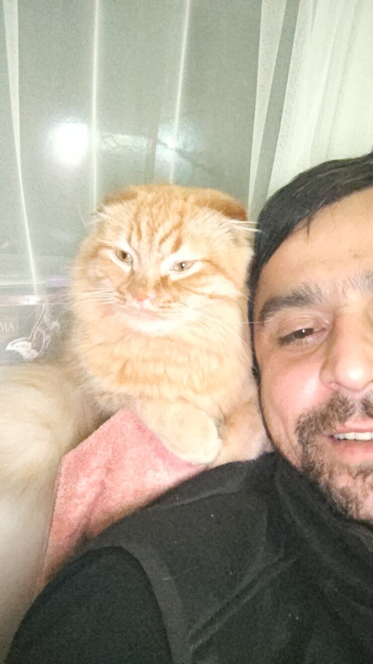  ,   , 35 ,   