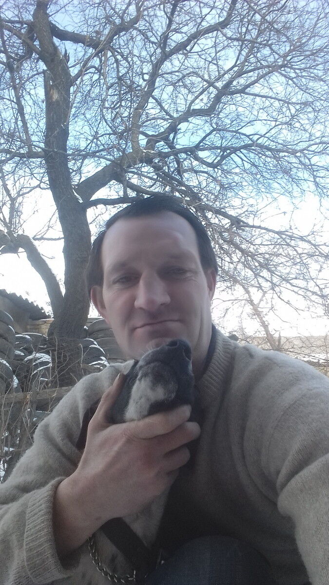 ���� 18864251 ������� �������, 42 ����, ���� ���������� � �������