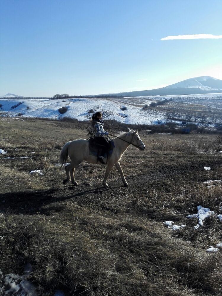 ���������� Ara, ���� ������� Olga, 34 ����, ������������ ��� ����� � ���������, c�������� ���������