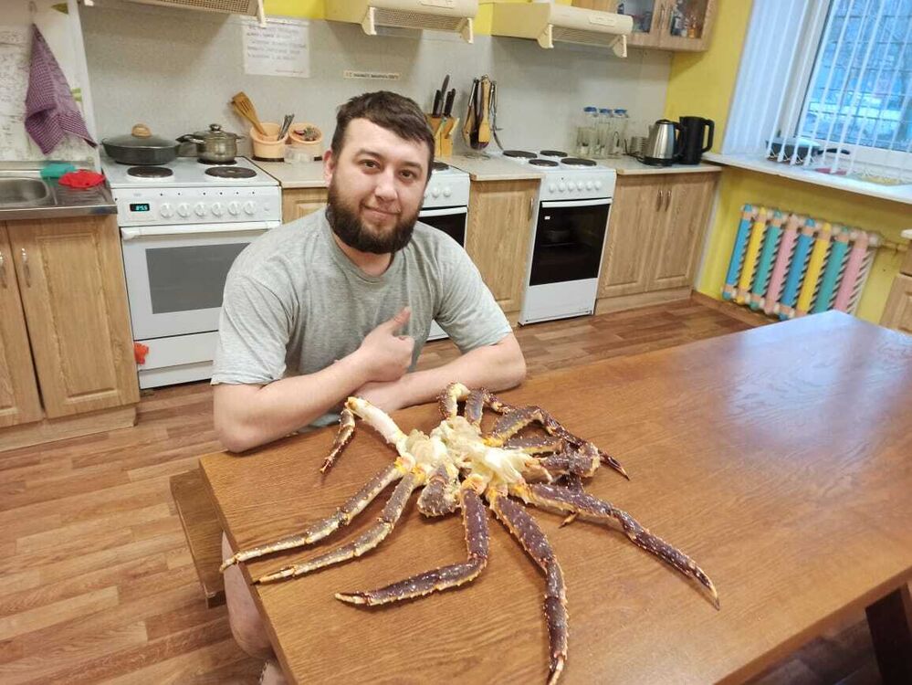 ���� 36908391 ������� �����, 38 ���, ���� ���������� � ������