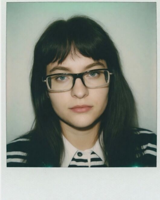 ���������� ������������, ���� ������� ���������, 26 ���, ������������ ��� ����� � ���������, c�������� ���������