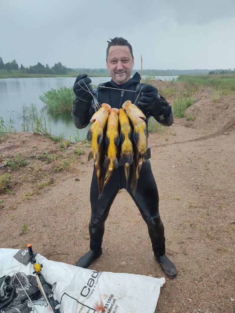 ���� 41656121 ������� ���, 49 ���, ���� ���������� � ������