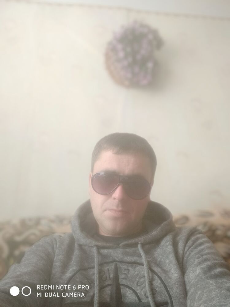  17608411  , 43 ,    