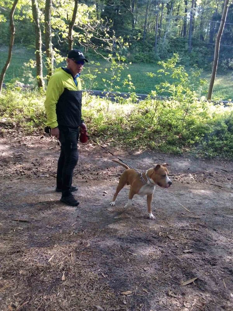 ���������� �����-���������, ���� ������� Ivan, 50 ���, ������������ ��� ������, ����� � ���������