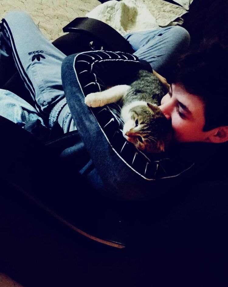 ���� 24970151 ����� ����, 21 ���, ���� ���������� � �������