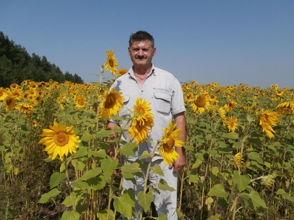 ���������� ������, ���� ������� �������, 62 ����, ������������ 