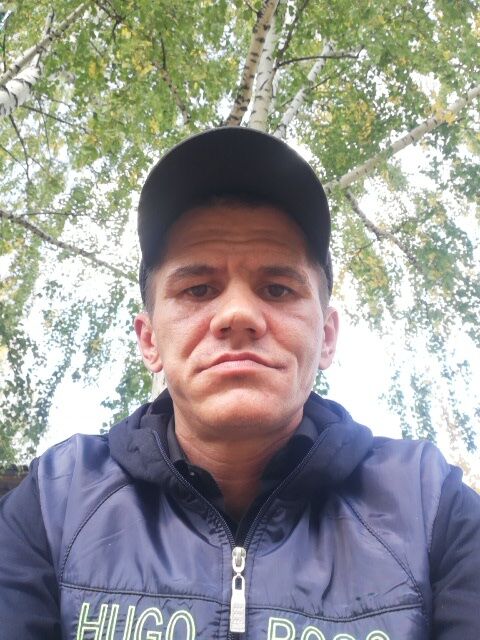  37946361  , 38 ,    