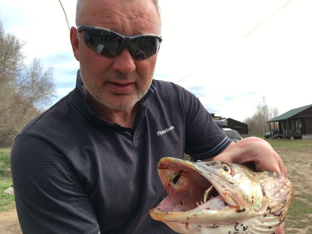 ���������� ������, ���� ������� ������, 51 ���, ������������ ��� ������, ����� � ���������, c�������� ���������