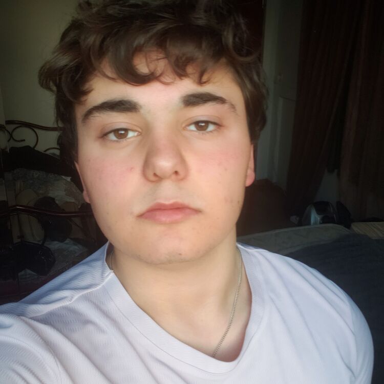 ���� 55914391 ����� �������, 19 ���, ���� ���������� � ������