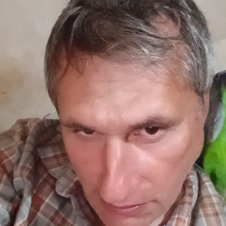 ���� 55906511 ������� �����, 45 ���, ���� ���������� � ������