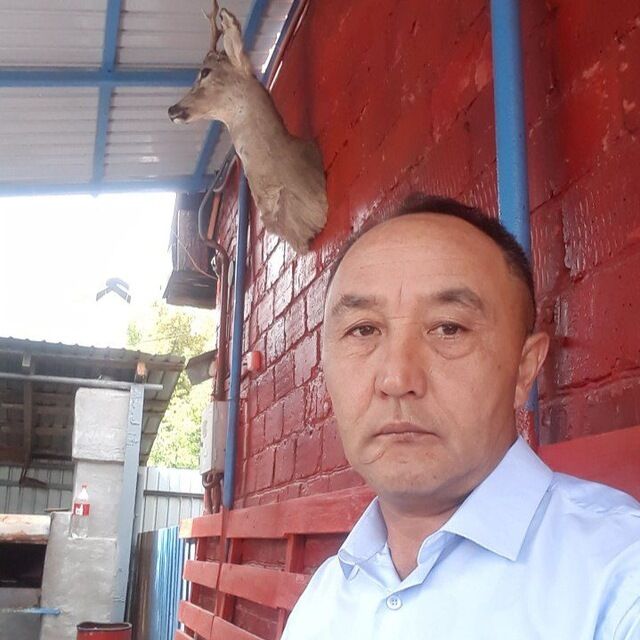  -,   , 50 ,   ,   , c , 