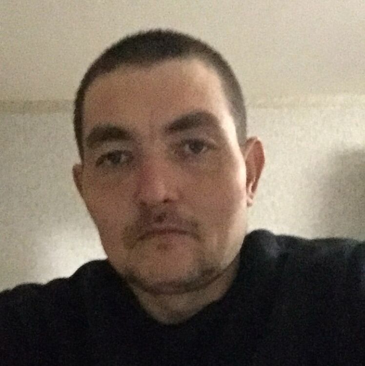  44055291  ˸, 33 ,    