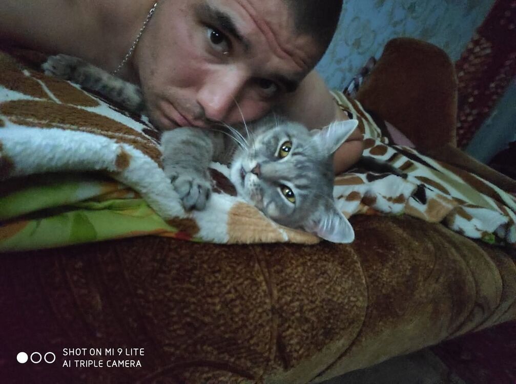 ���������� �����, ���� ������� �����, 36 ���, ������������ ��� ������, ����� � ���������