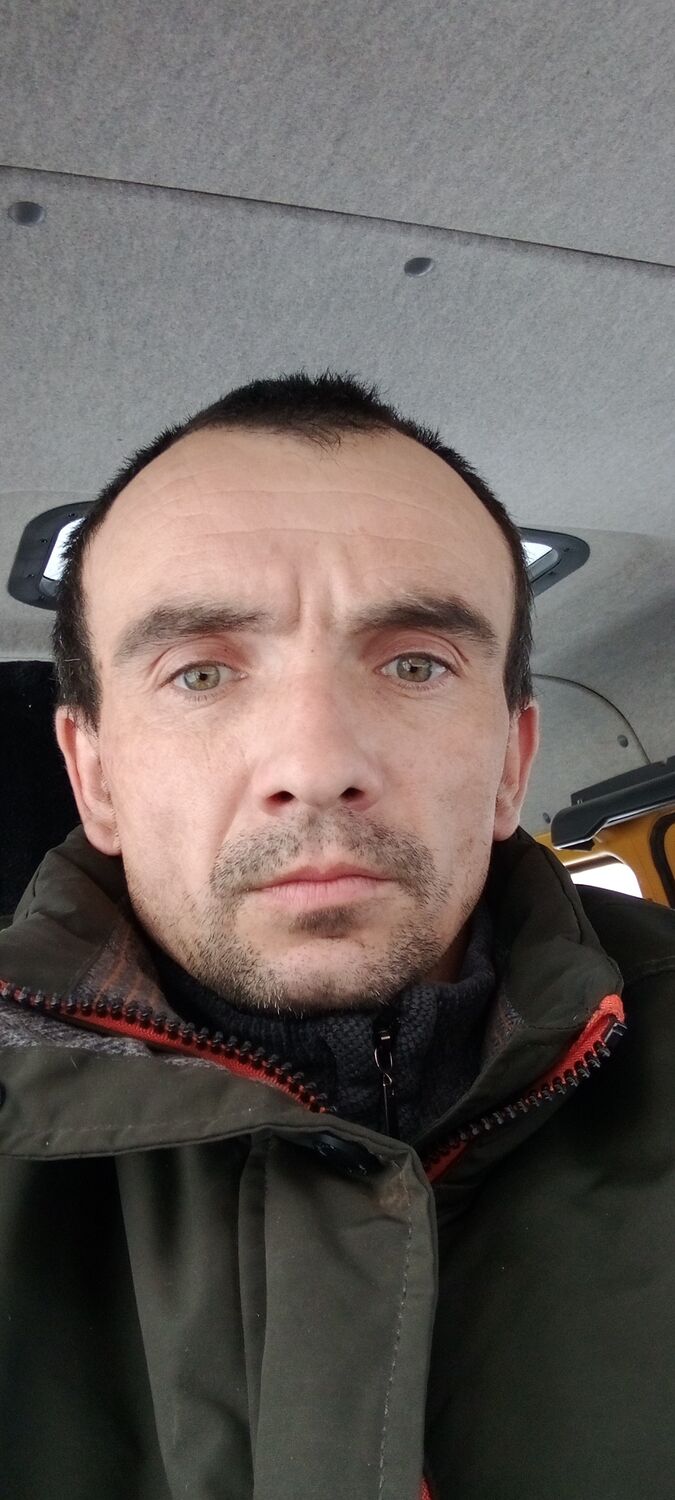  31174501  , 37 ,    