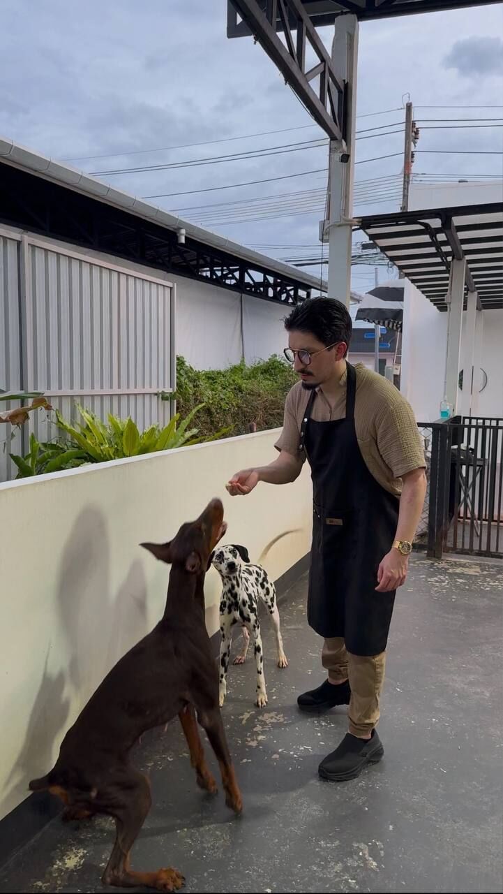  Phuket,   DavidRicardo, 37 ,   ,   