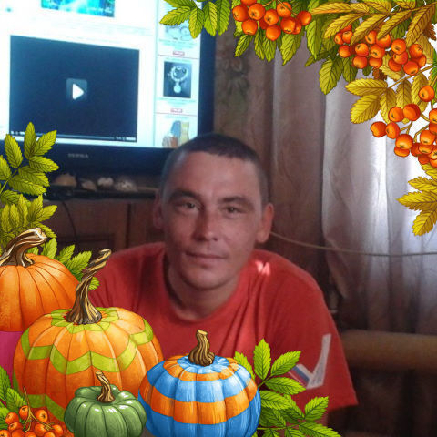 ���� 11153291 ������� ������, 39 ���, ���� ���������� � �������������