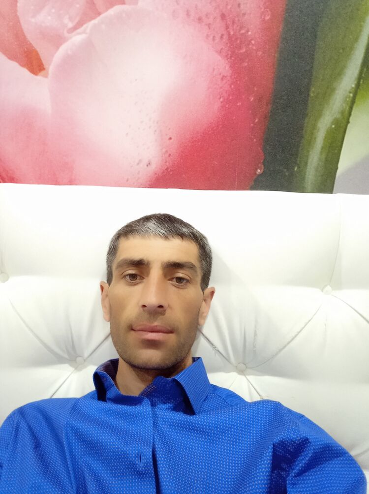  34668461  , 37 ,    
