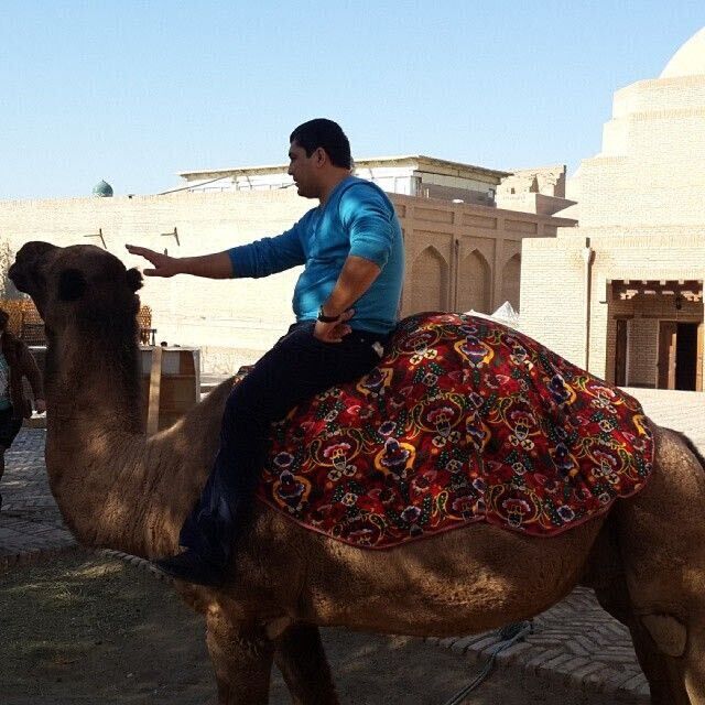 ���������� �������, ���� ������� ������, 41 ���, ������������ ��� ������, ����� � ���������