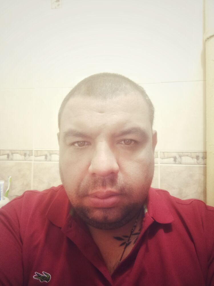  29564221  , 40 ,    