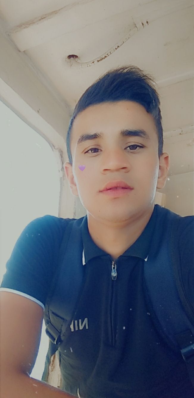  25171081  , 23 ,    