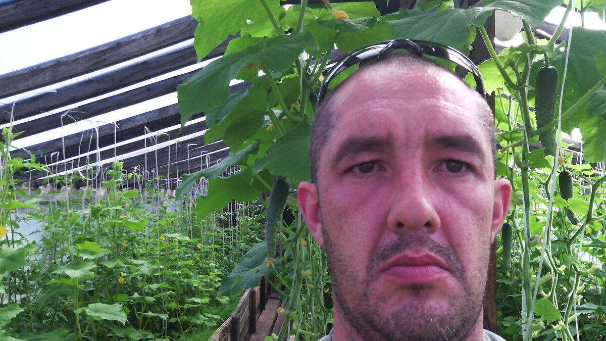  ,   , 47 ,   