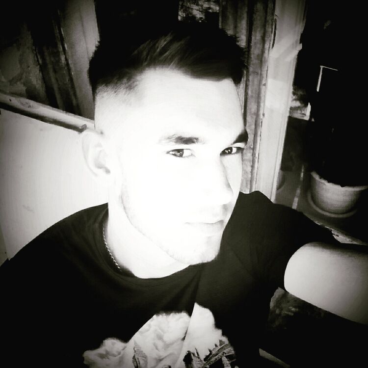 ���� 8401311 ������� �������, 29 ���, ���� ���������� � ������