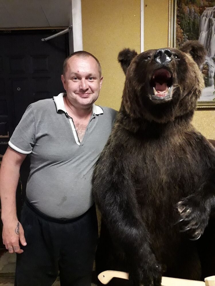 ���������� �����, ���� ������� ������, 46 ���, ������������ ��� ������, ����� � ���������, c�������� ���������