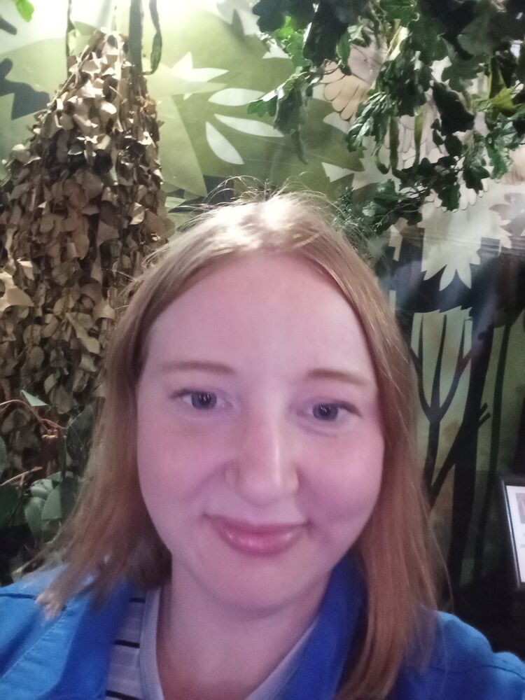 ���������� ������, ���� ������� �������, 23 ����, ������������ 