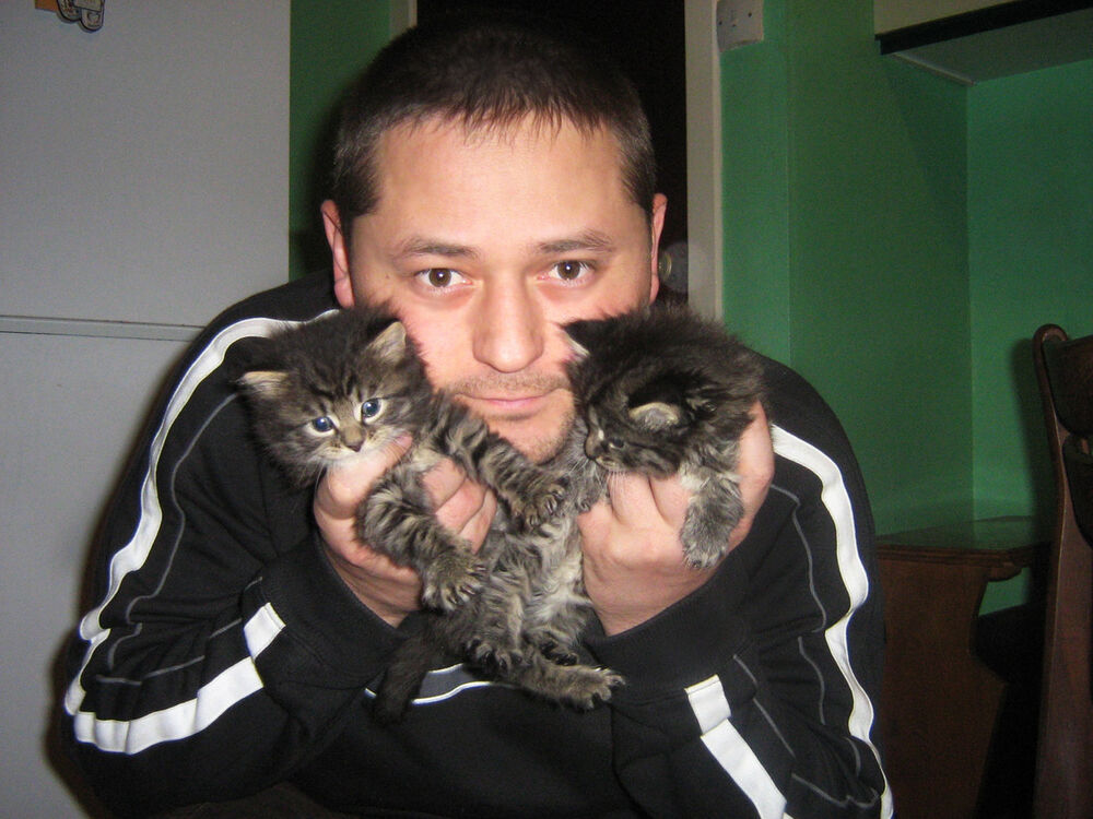  18508901  Dmitrij, 45 ,    