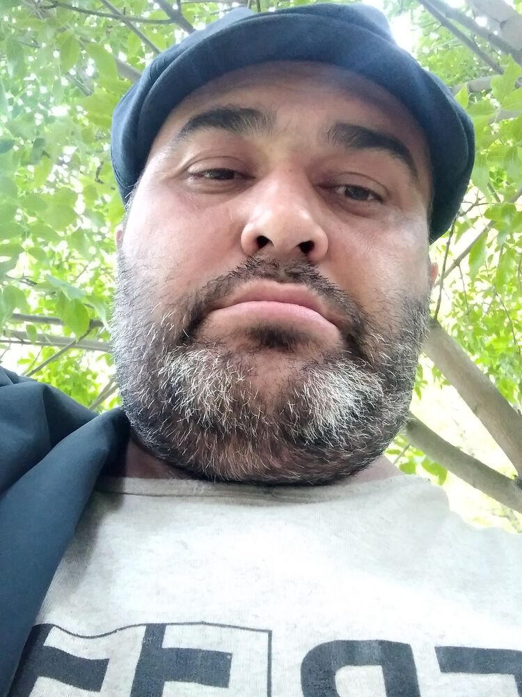 ���� 23873651 ������� ������, 44 ����, ���� ���������� � ���������