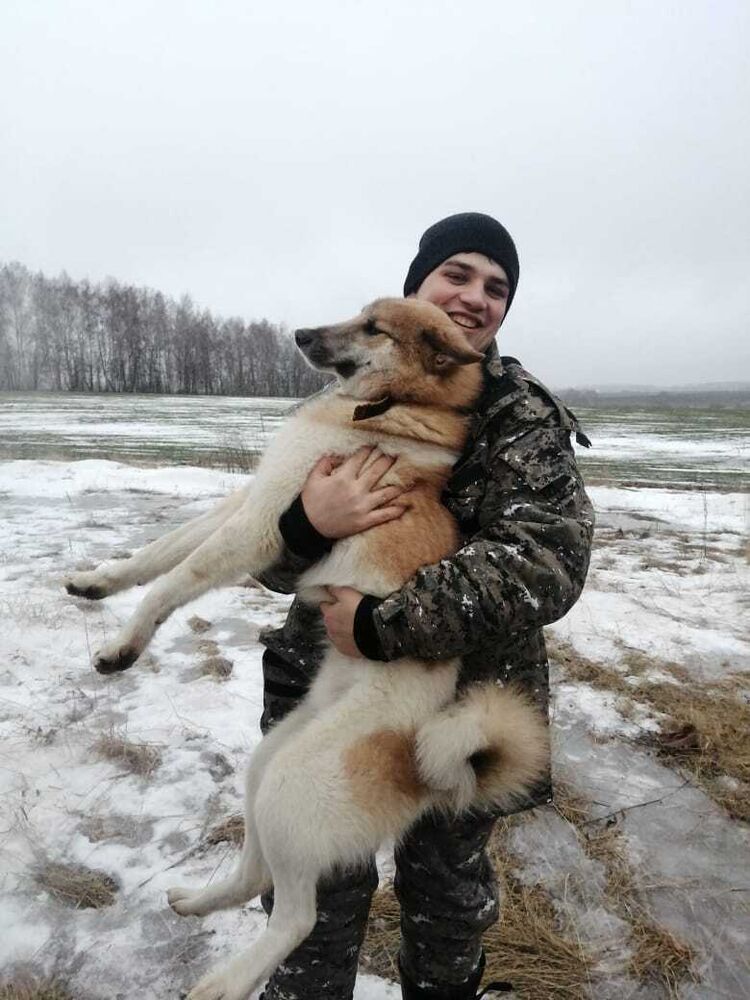 ���������� ����, ���� ������� ������, 33 ����, ������������ ��� ������, ����� � ���������, c�������� ���������, ���������