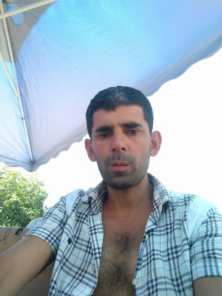 ���� 45008391 ������� ����, 40 ���, ���� ���������� � �����