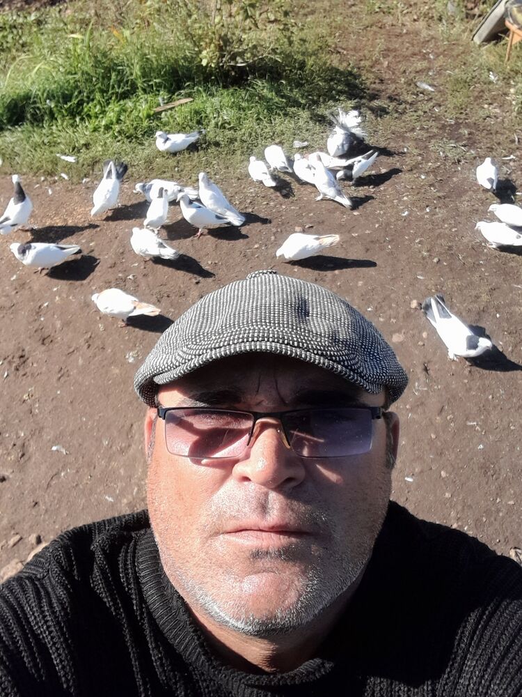  ,     , 44 ,   ,   