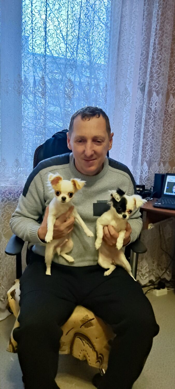 ���������� �������, ���� ������� ������, 37 ���, ������������ ��� ������, ����� � ���������, c�������� ���������, ���������