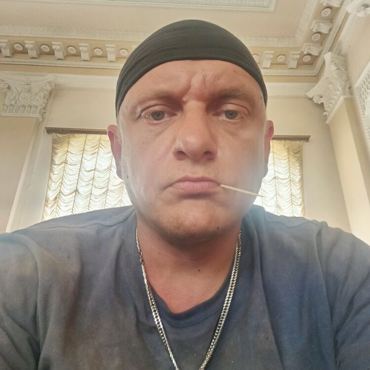  44457911  , 43 ,    
