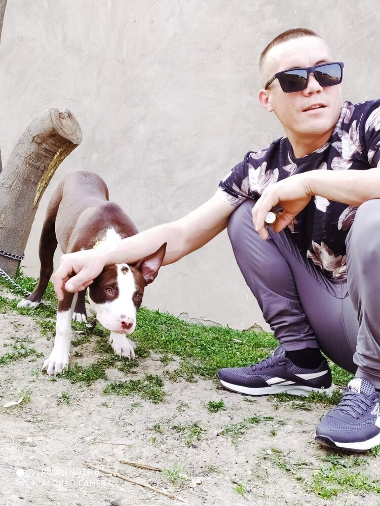 ���� 23001241 ������� �������, 33 ����, ���� ���������� � ��������