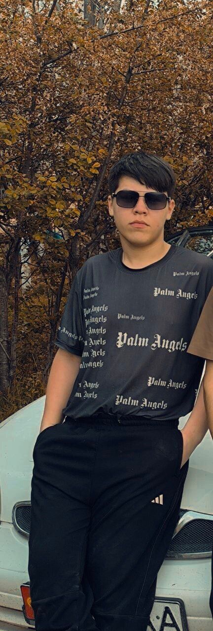  52280381  , 18 ,    -