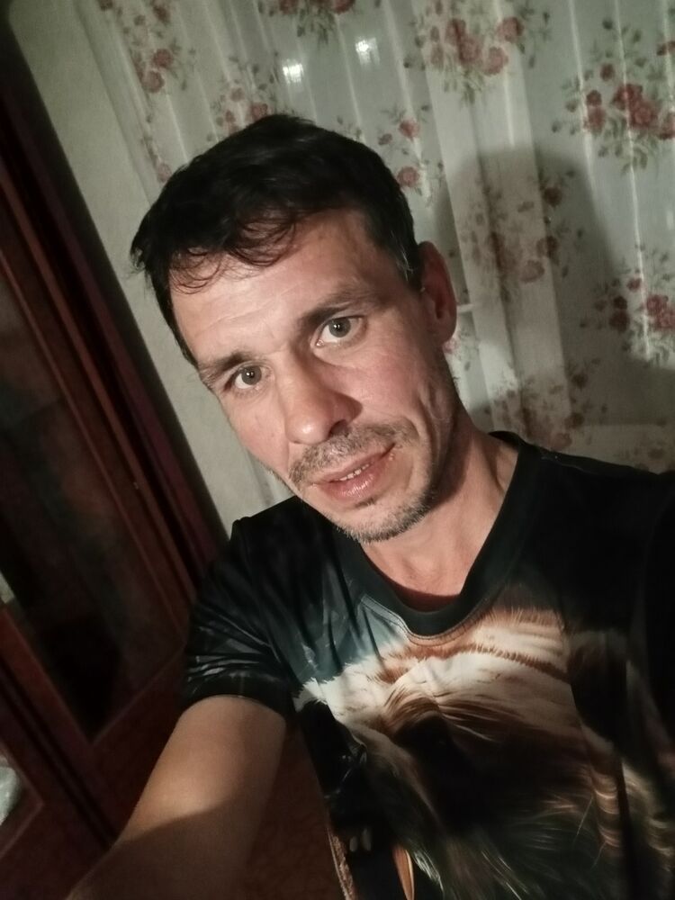  53749291  , 43 ,    
