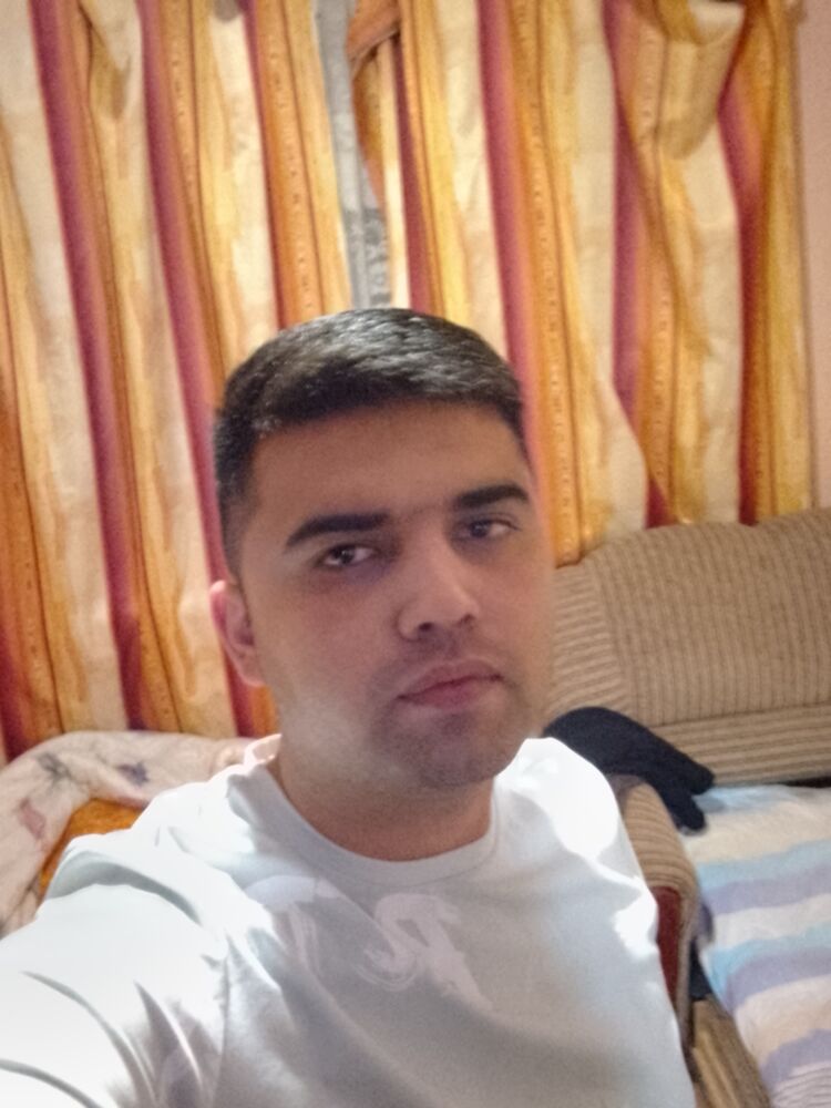  35490561  , 31 ,    