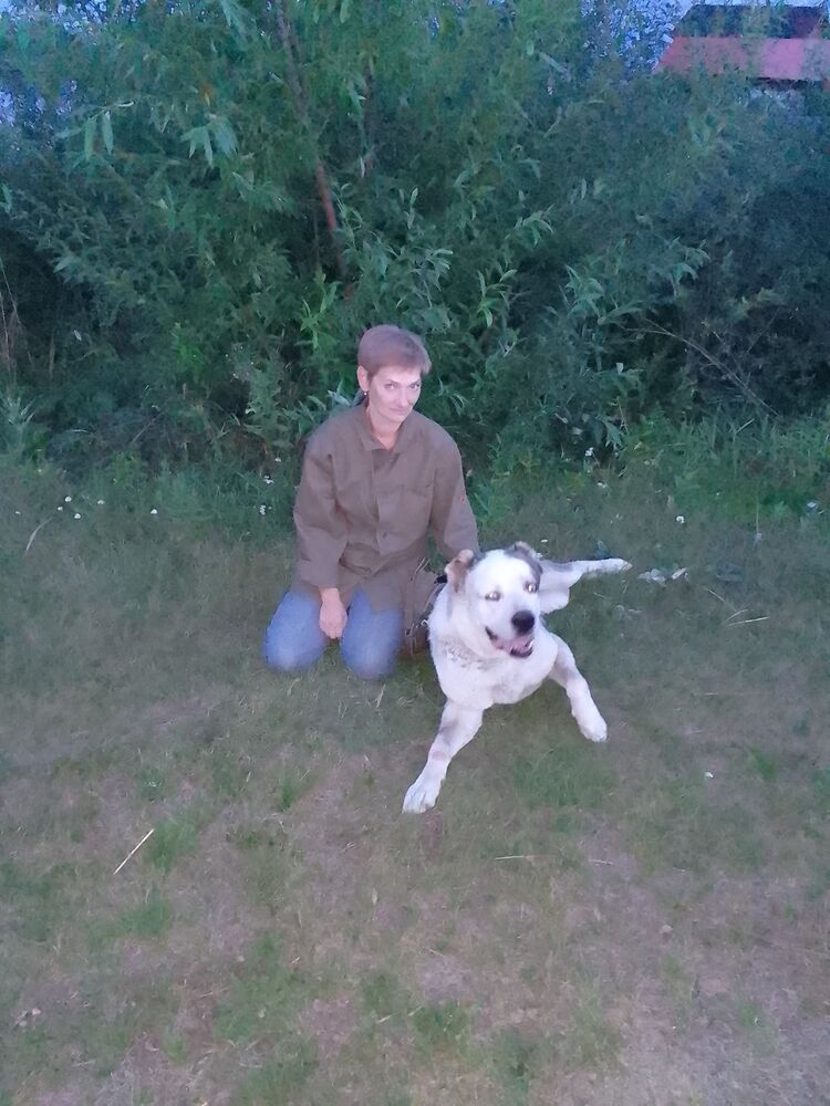  ,   , 56 ,   