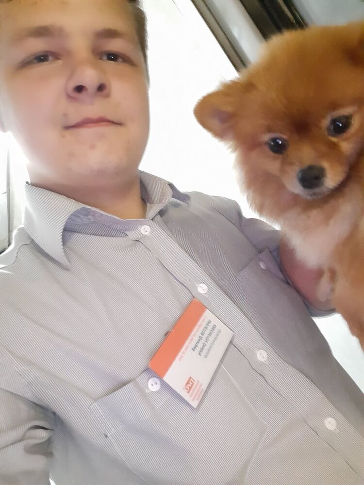 ���� 17672641 ������� ����, 26 ���, ���� ���������� � �������